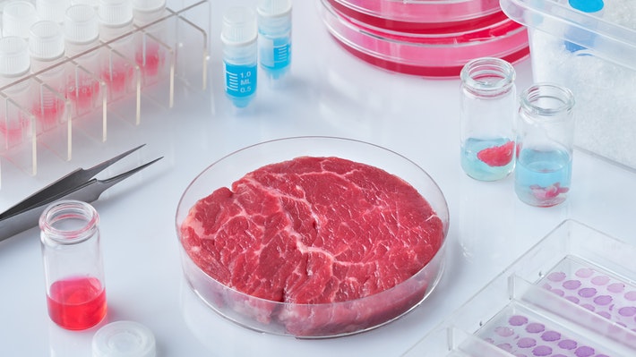 Meat Biochemistry Climate Impacts of Cultured Meat and Beef Cattle | LEAP